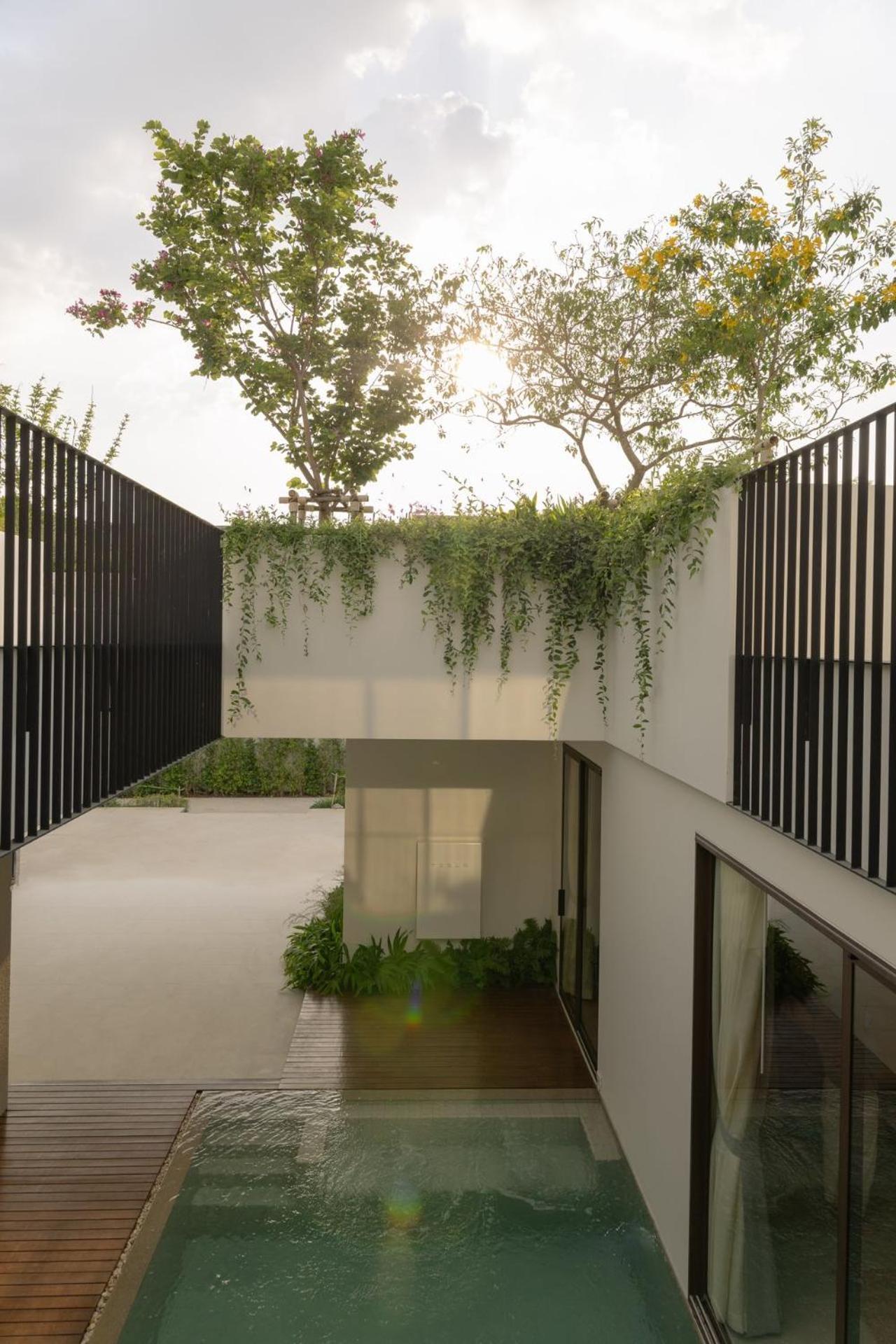 Tree O'Clock Pool Villa - Phuket Thalang Habitación foto